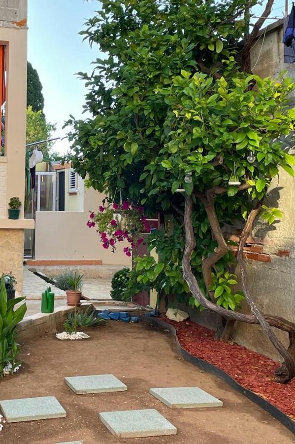 Lumar Holidays And Apartments Preko Buitenkant foto