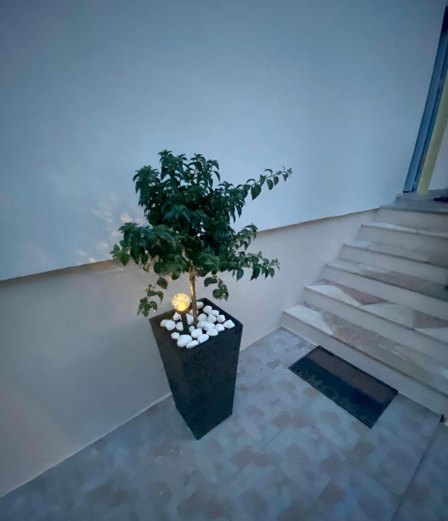 Lumar Holidays And Apartments Preko Buitenkant foto